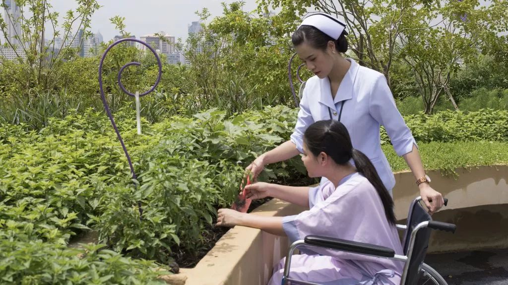 泰国Ramathibodi Healing Garden-44