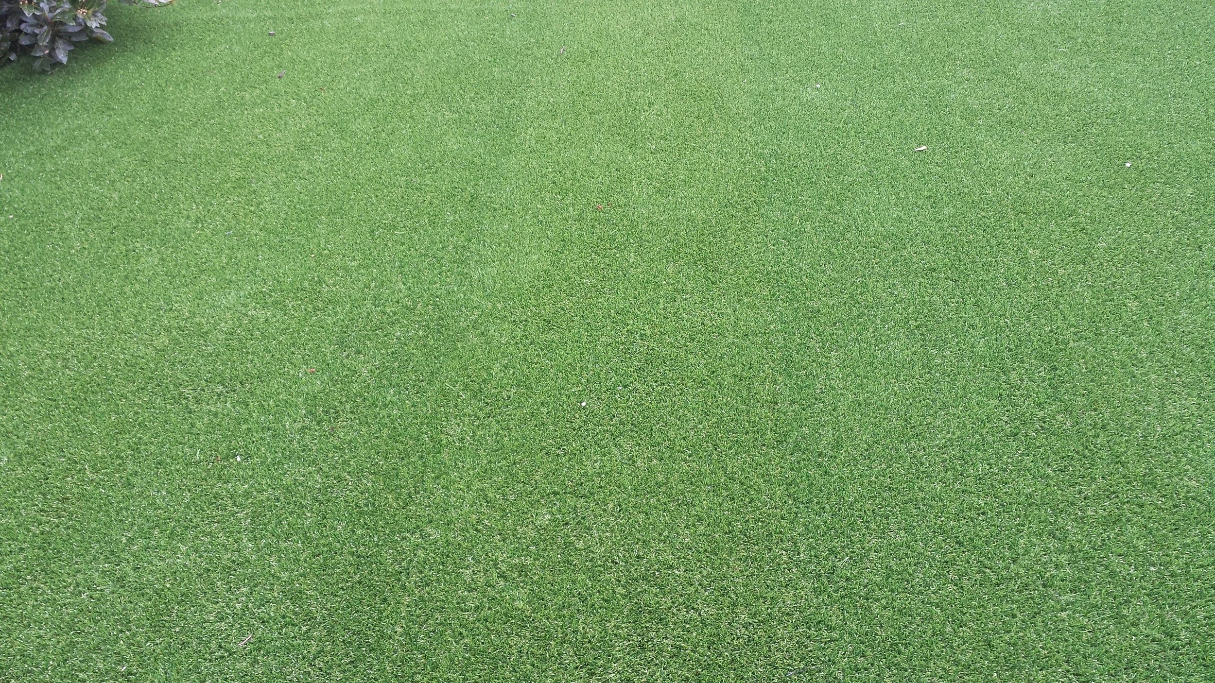 Ranelagh花园人造草皮景观项目丨爱尔兰都柏林-56