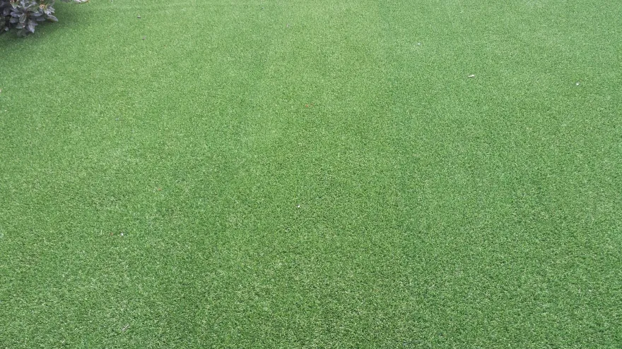 Ranelagh花园人造草皮景观项目丨爱尔兰都柏林-56