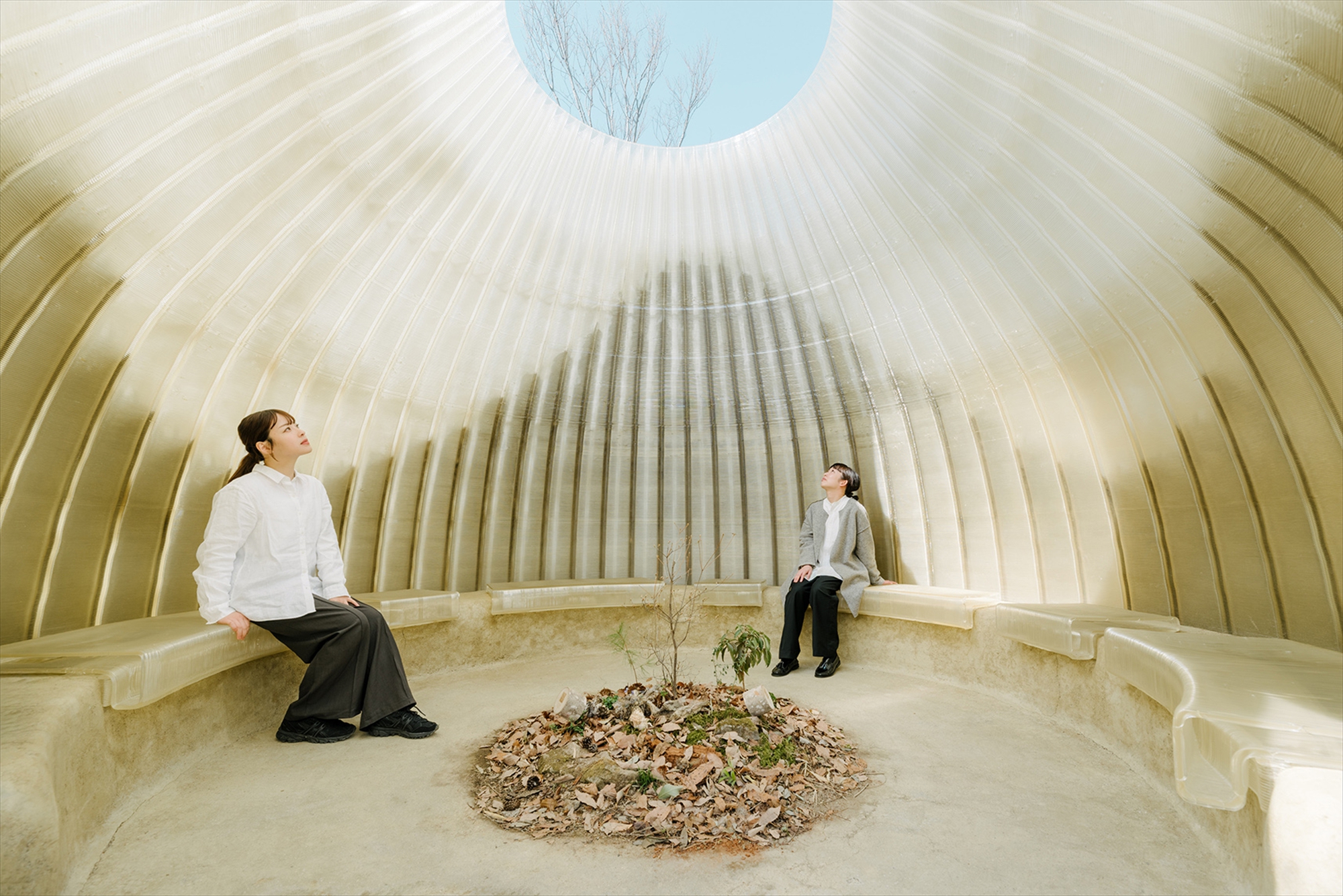 Osaka Expo 2025 Foresting Architecture Pavilion  / Takenaka Corporation-15