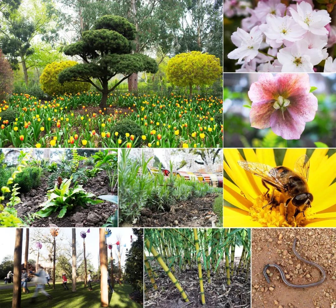 英国皇家植物园儿童花园丨Suzie Jewell-10