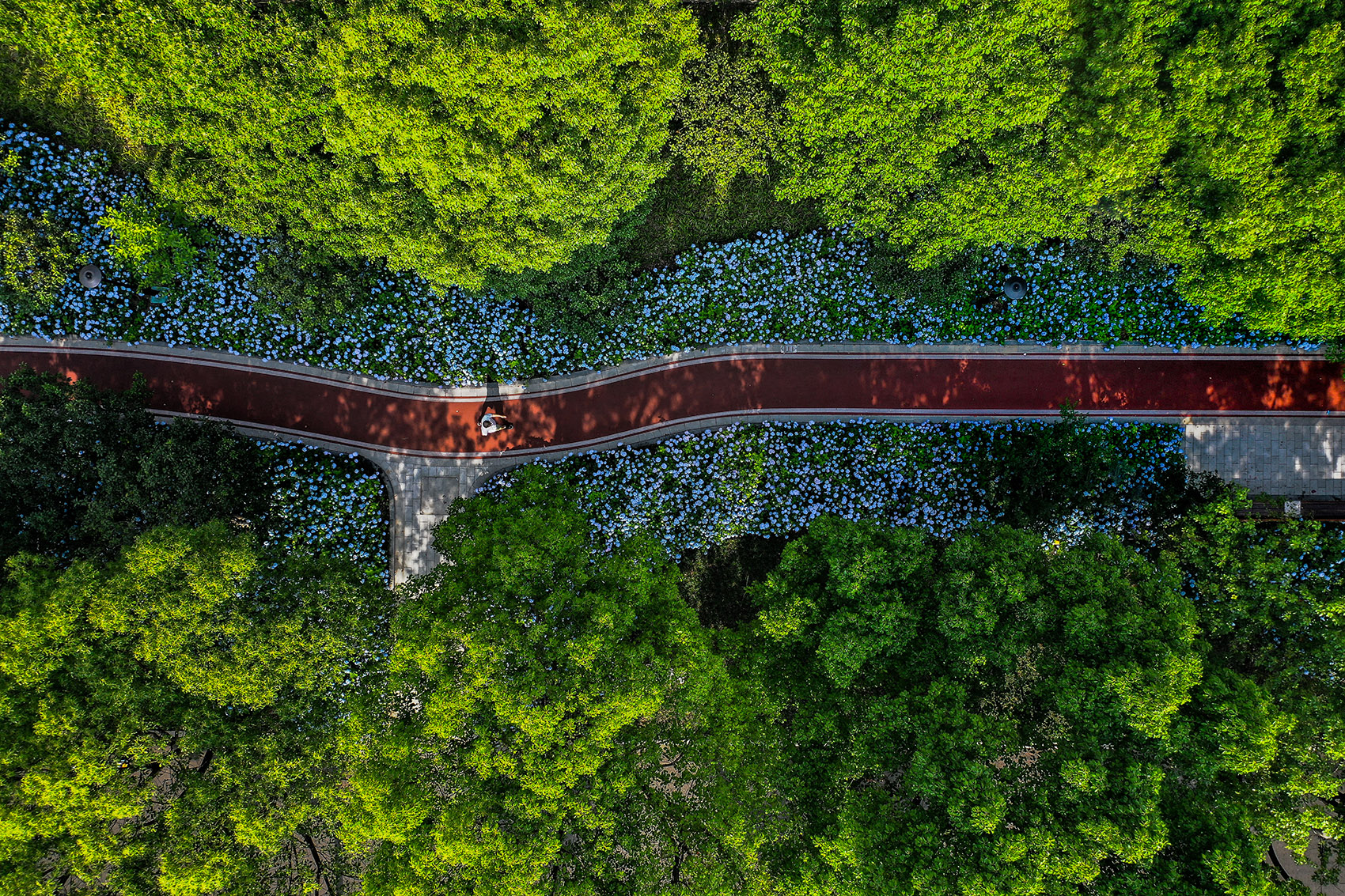 嘉兴口袋公园-46