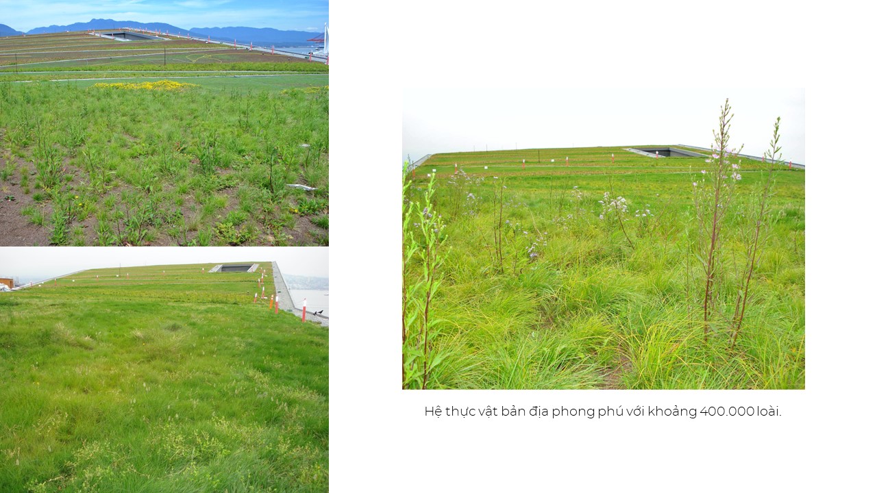 TRUNG TÂM HỘI NGHỊ PHÍA TÂY VANCOUVER-9