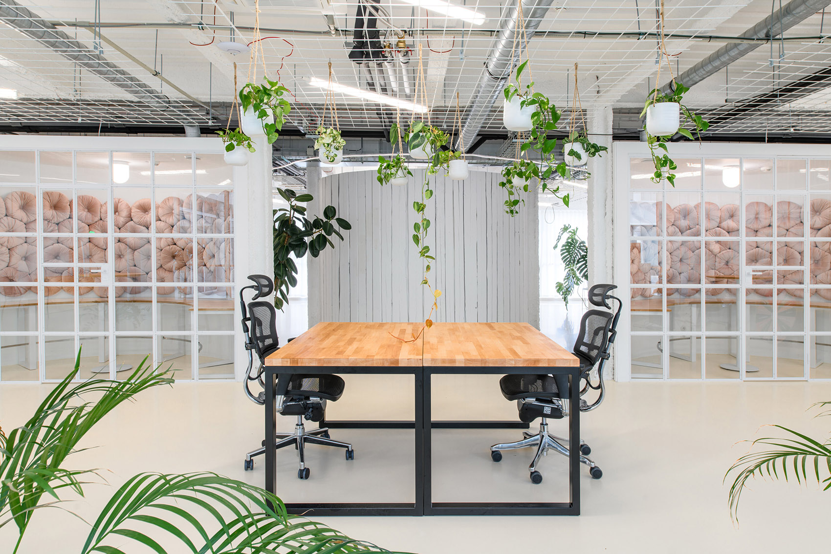 Czech Promotion 办公室改造丨捷克丨KURZ architects-24