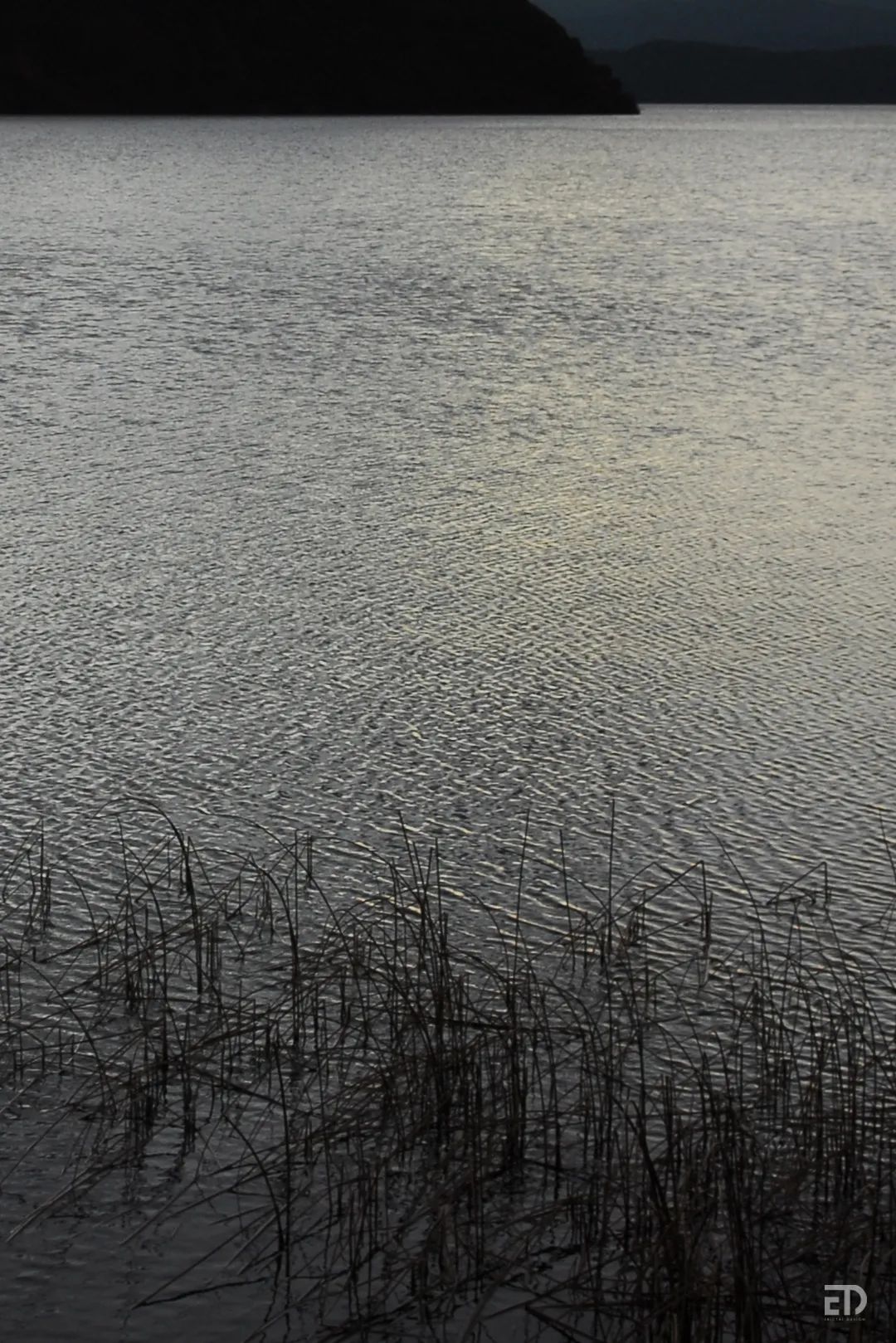 情绪风景丨戴勇-11