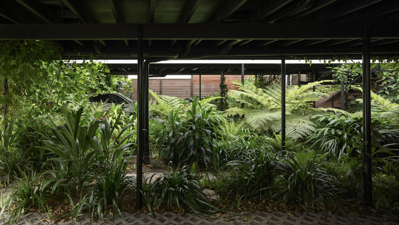 澳大利亚双子住宅丨约翰·艾尔威-13