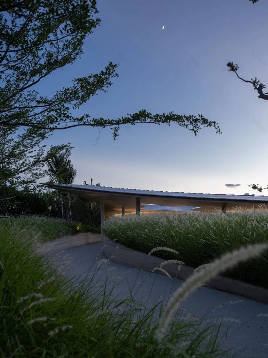 海棠河生态公园 海棠晓翼丨中国三亚丨水相设计(李智翔,葛祝緯等),易加设计-9