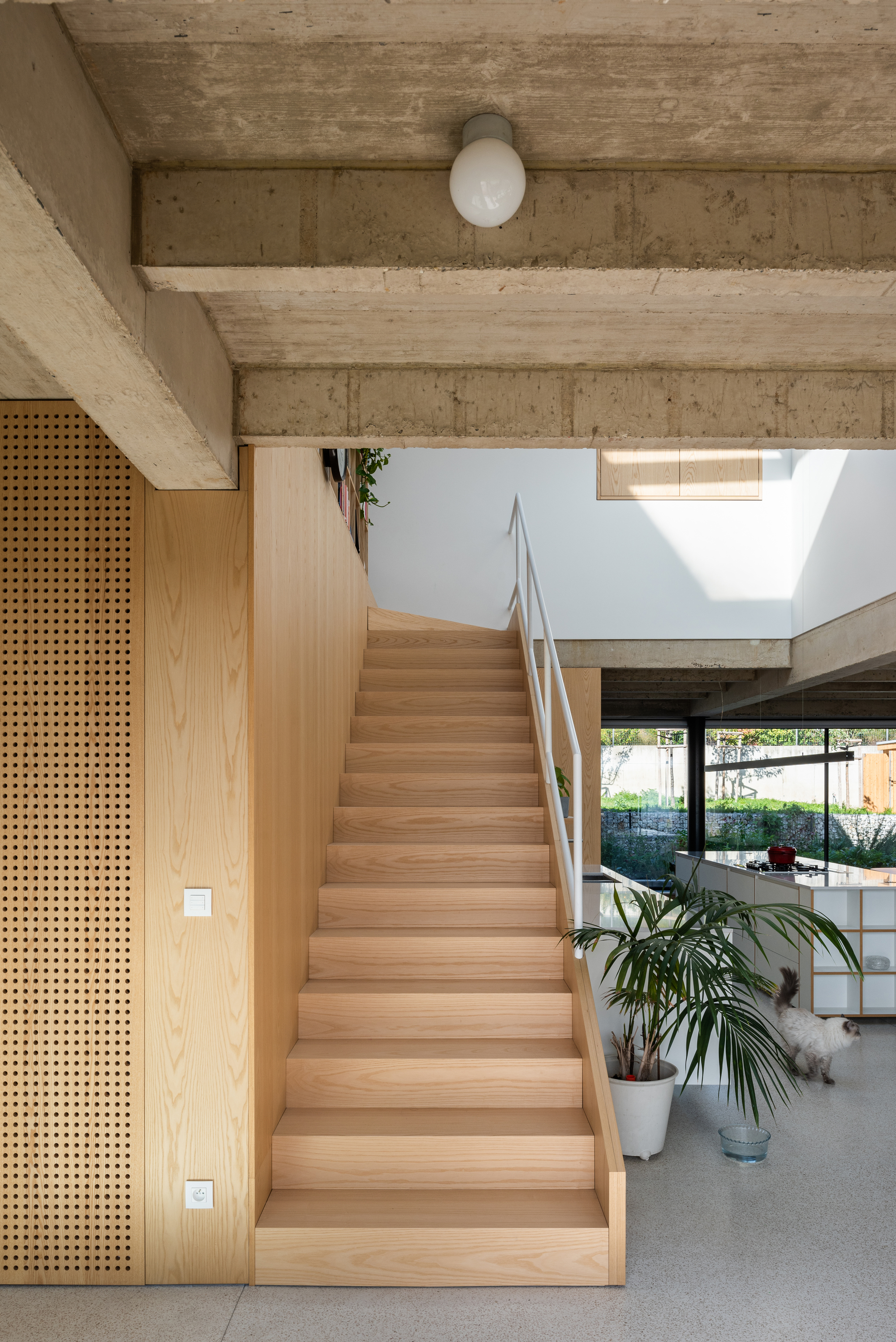 适合有宠物的家庭的房子丨斯洛伐克布拉迪斯拉发丨Sadovsky & Architects-22