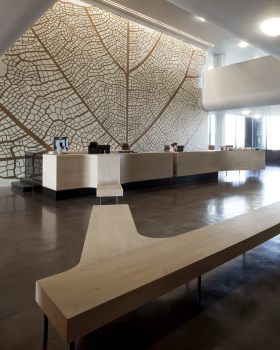 法院;审判庭(在欧盟等语境中常指欧洲法院) 丨Belgium