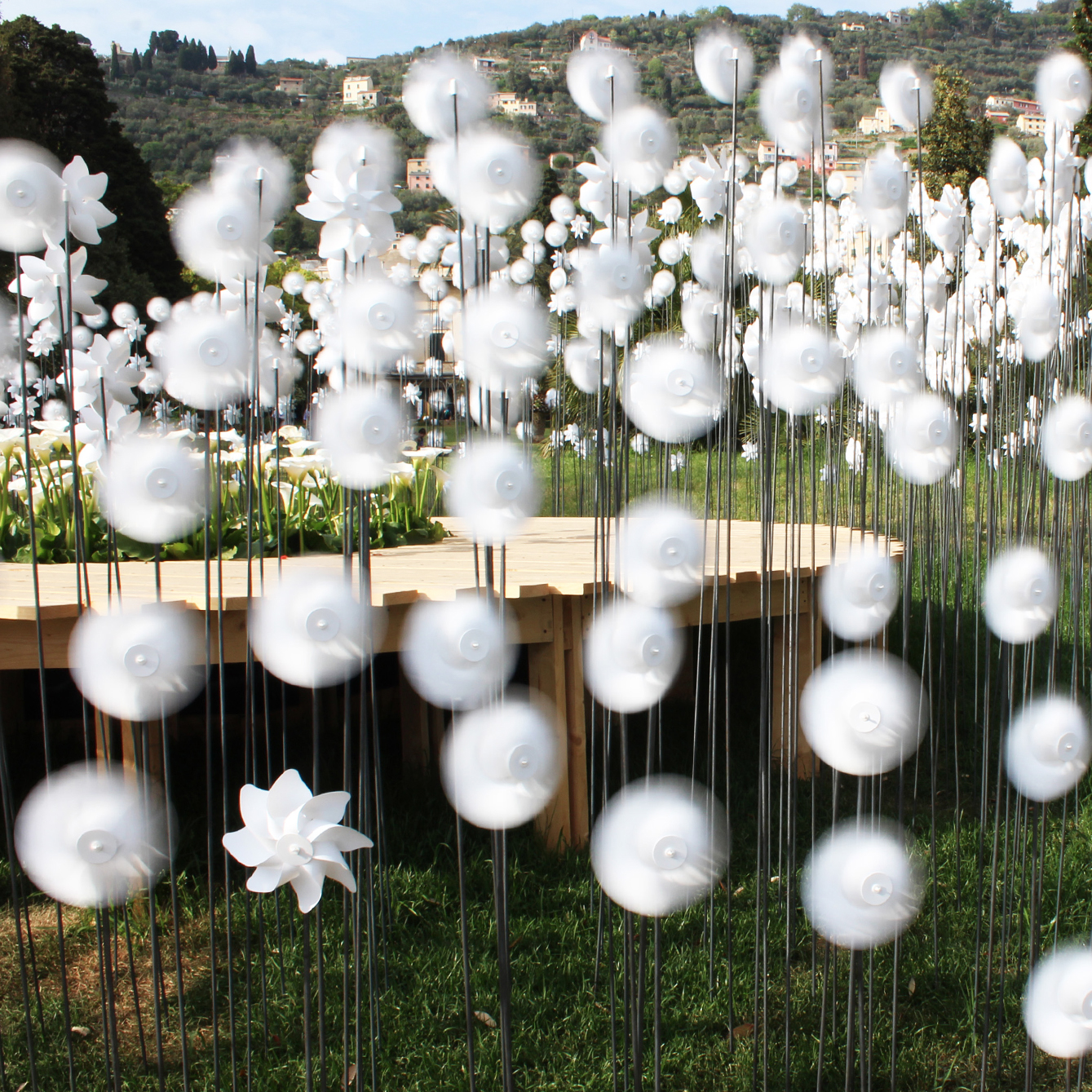 欧洲花卉展丨DLA design lab-8