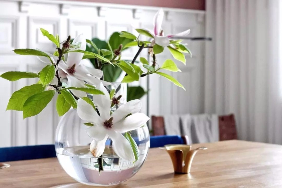 瑞士自然北欧风住宅 | Hövitsmansgatan-5