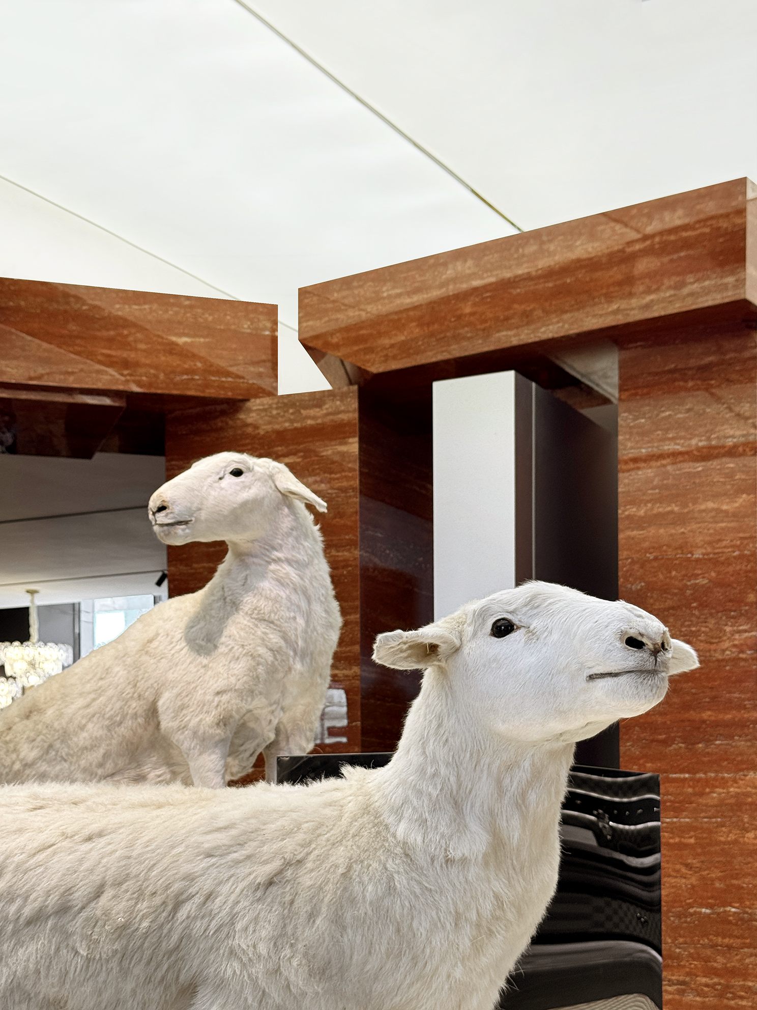 尊享睡眠体验馆丨中国佛山丨佛山市拓维室内设计有限公司-8