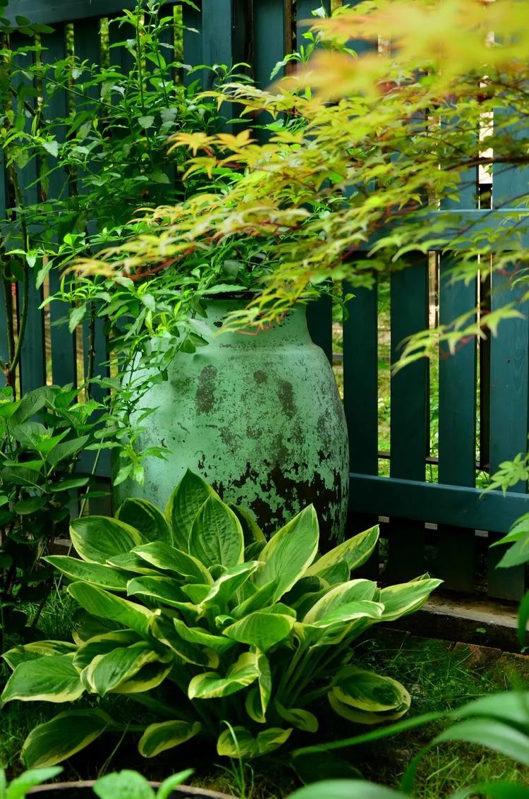 90后夫妻用4年时间，在魔都造了60平米花园，遛狗逗猫，好不惬意~-67