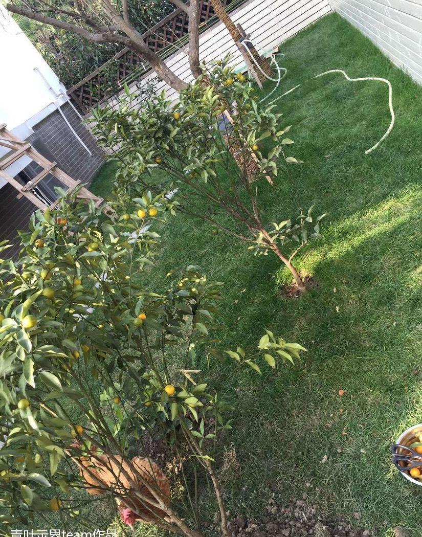 青浦别墅的实用宜居设计-30