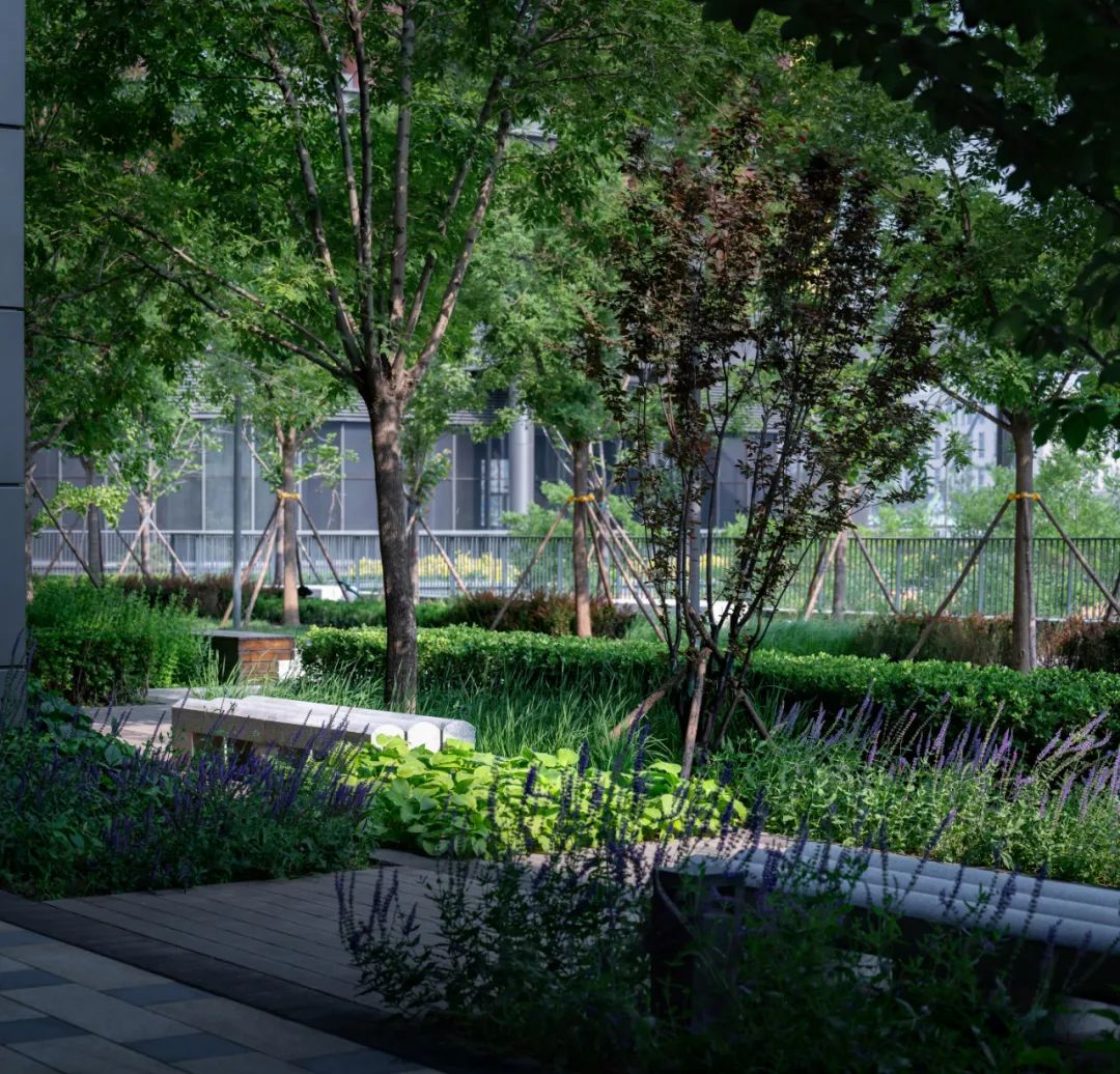 医药花园 | 华润生命科学园 景观设计-22