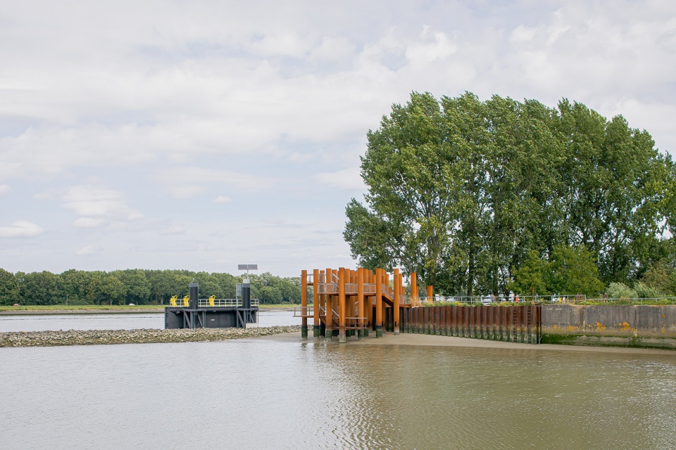 鹿特丹“水之林”观景台丨荷兰鹿特丹-0