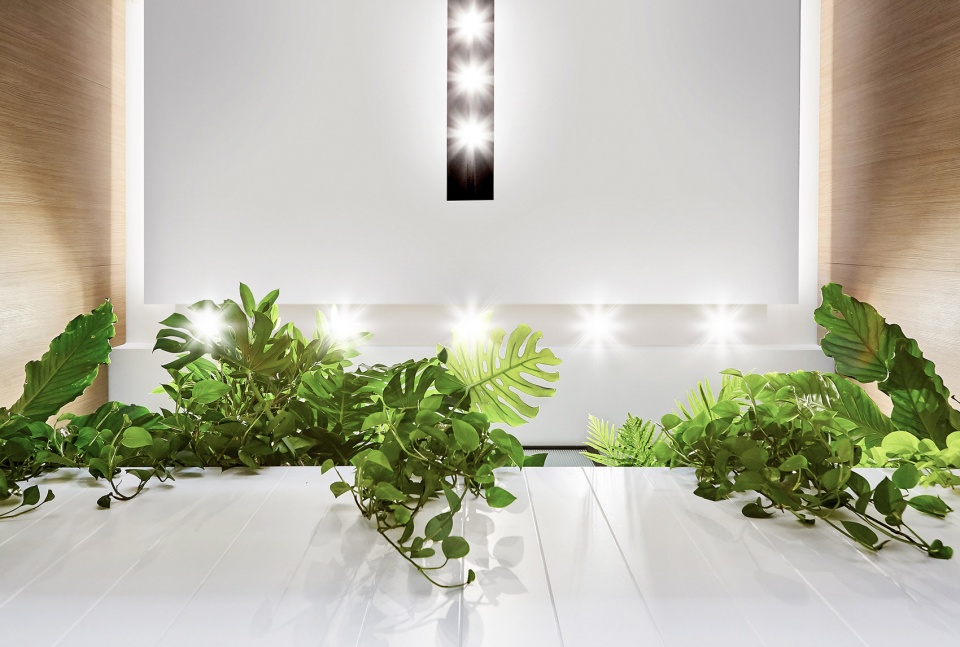 多伦多 iQ Food Co· 餐厅-20