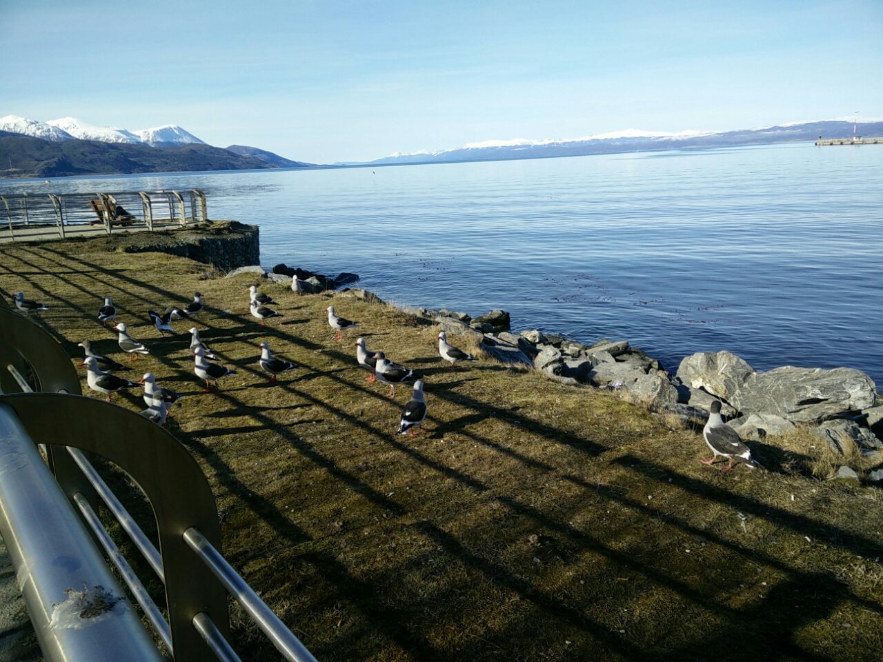 Ushuaia, Argentina(2022)-5