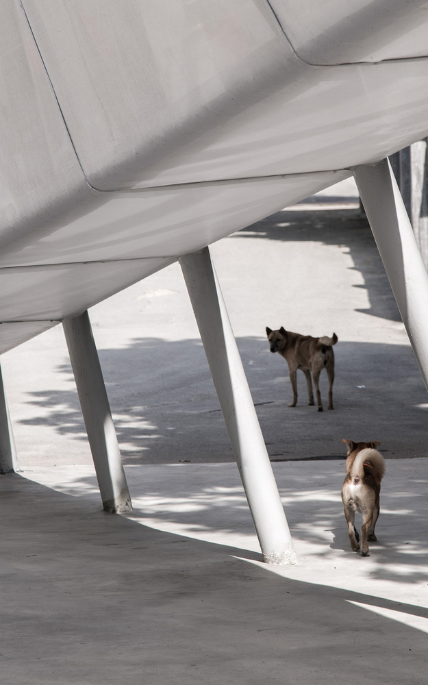 深圳南山城中村新公共空间 · 弹性战略与混合行为-45