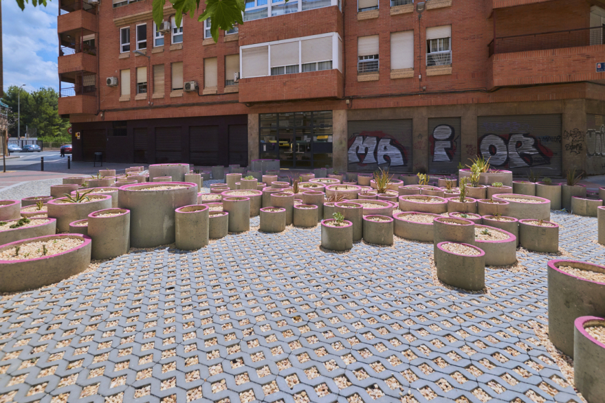 废弃停车场变身为城市绿洲 · Murcia Succulents 博物馆-26