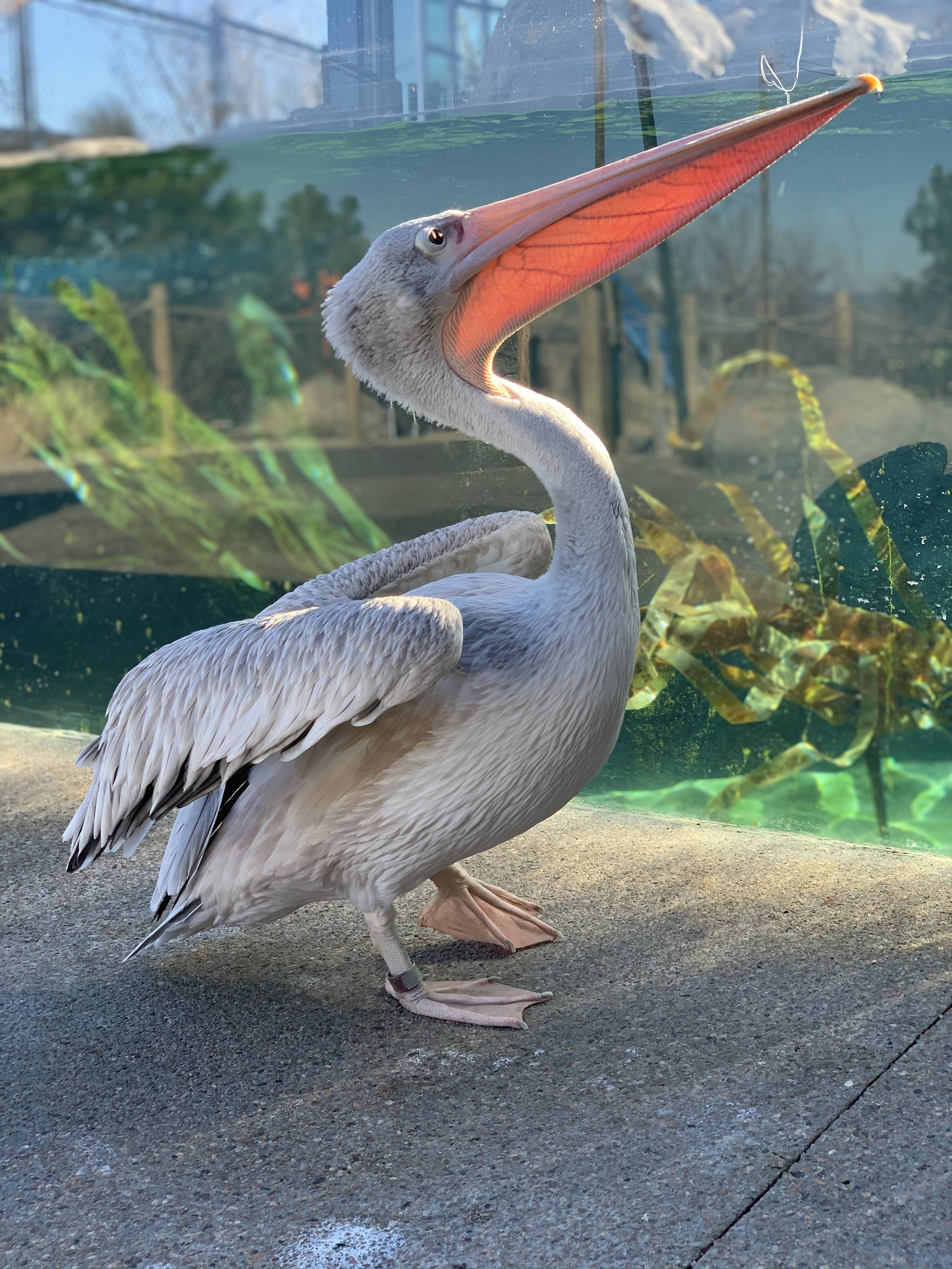 水际之地：非洲丨美国科罗拉多斯普林斯丨SH|R Studios-9