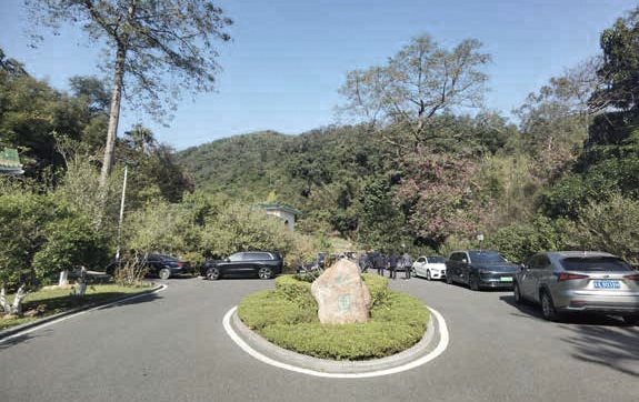 广东温泉宾馆松园一号户外园林景观改造工程丨中国广州-45