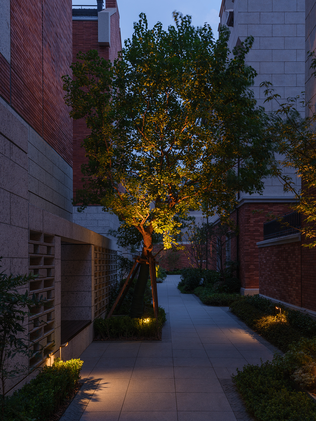 TS新作 | 瑞安·翠湖滨江光的偶遇-27