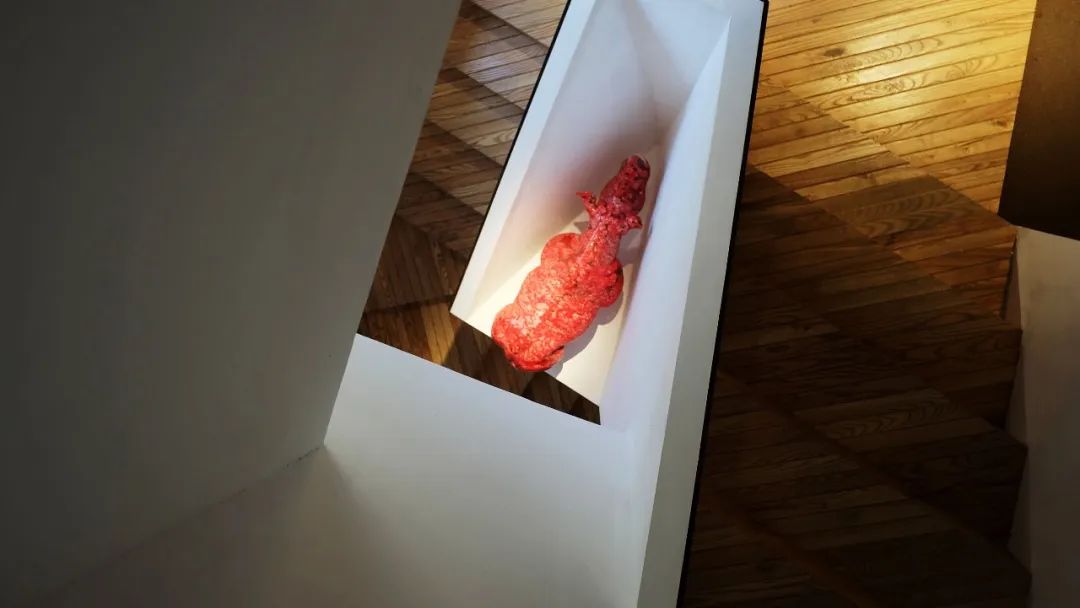 大象未来 | 融入自然的空间设计-54