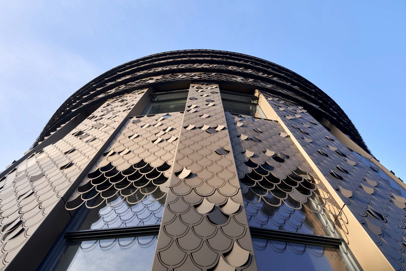 荷兰莱顿 Plantsoen 住宅区-11