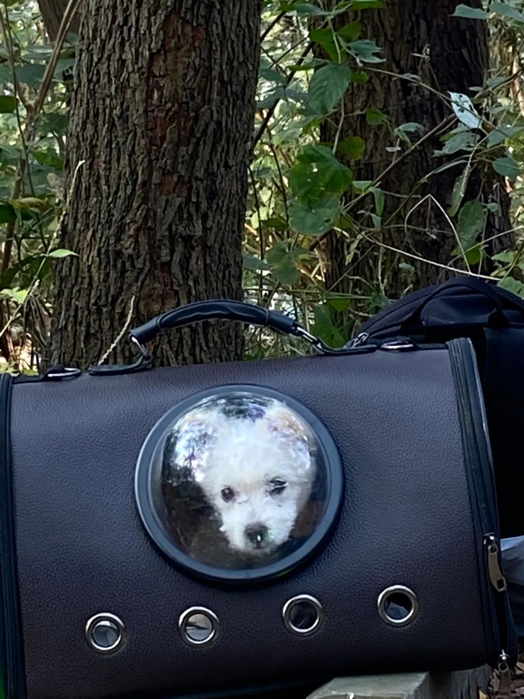 秋天一记 · 极简空间设计诠释金色矿场之美丨中国常州丨DEMO DESIGN-13