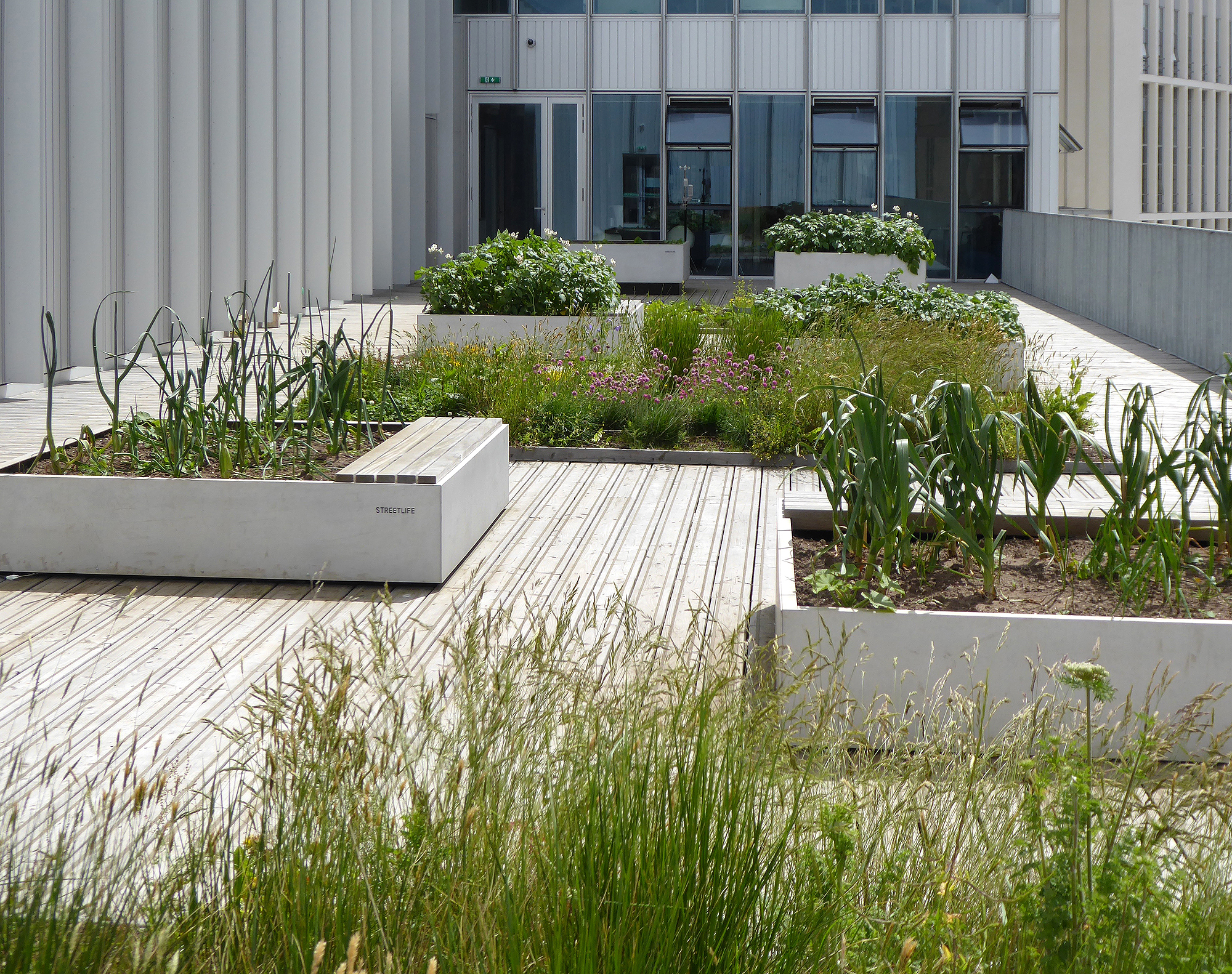 苏格兰格拉斯哥城市学院 | 融入城市景观的绿色校园-8