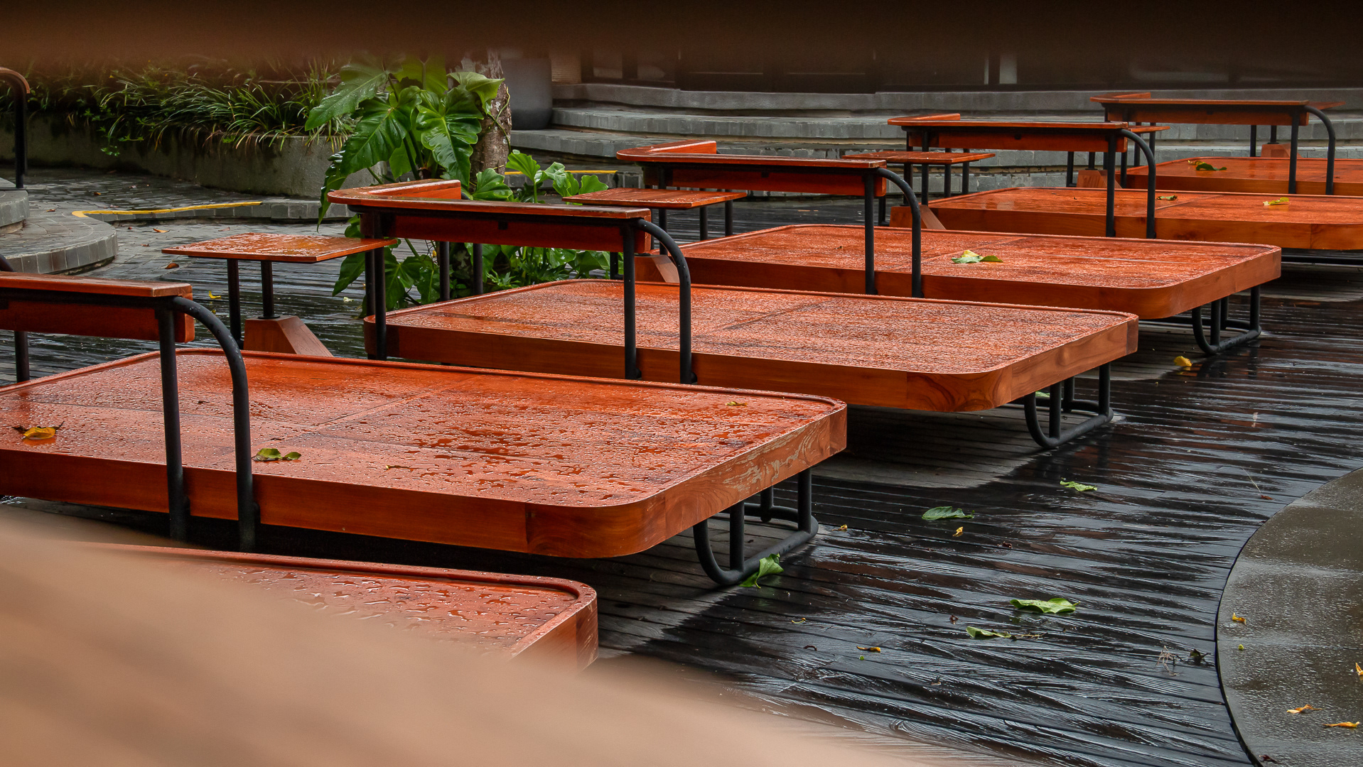 Hutan Day Club | Ubud-2