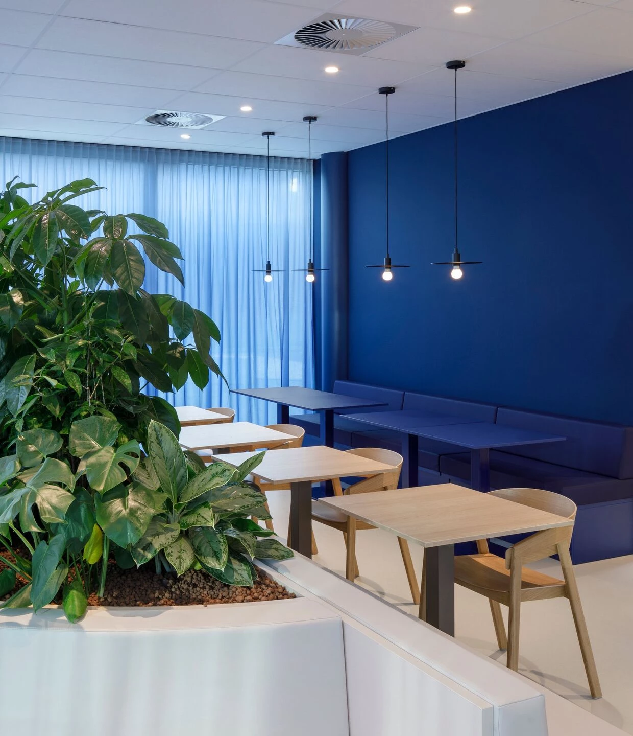 荷兰应用科学研究组织莱顿分部丨荷兰莱顿丨Centrum Architecten-31