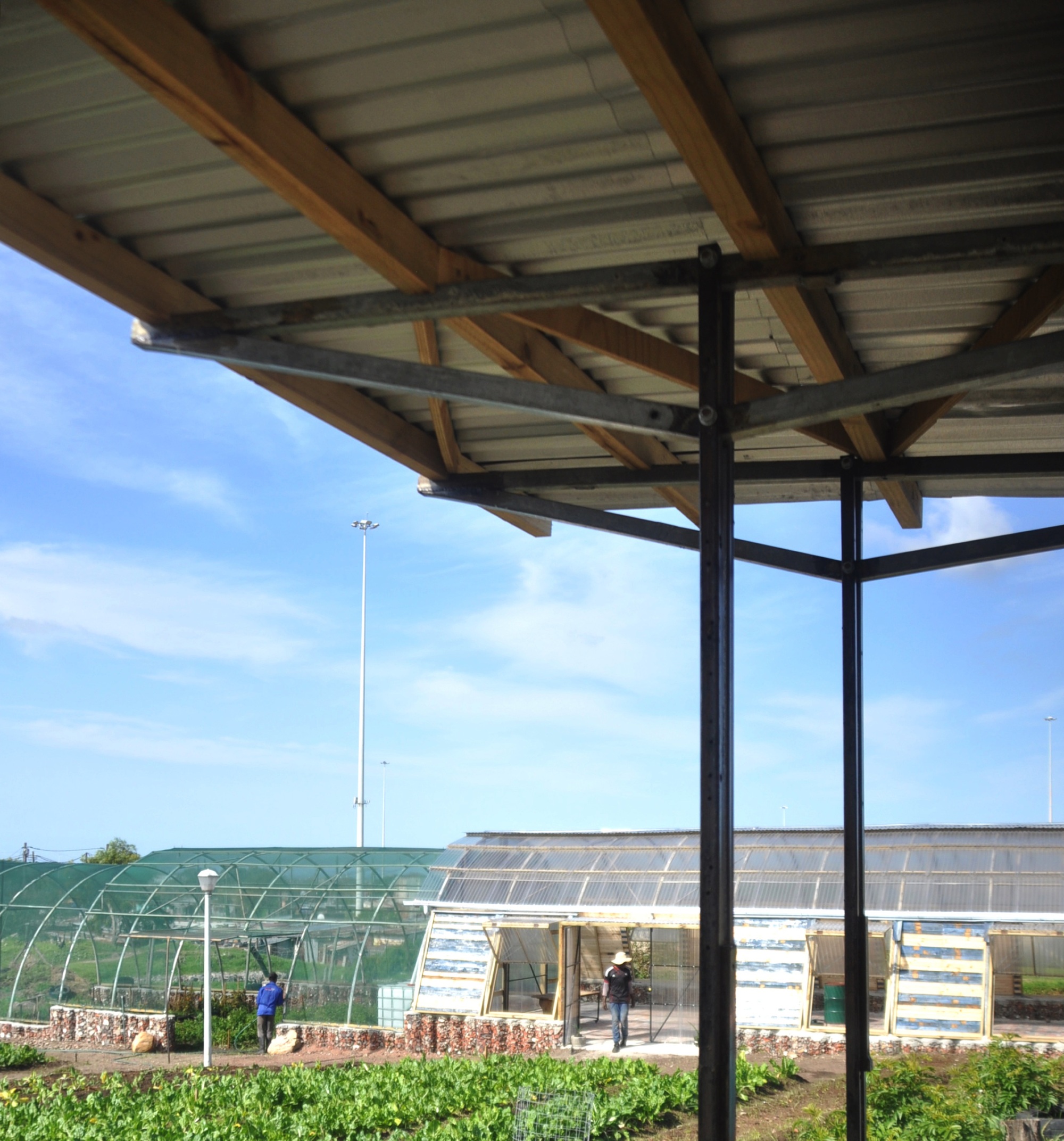 Lim'uhphile Co-op / Collectif saga-48