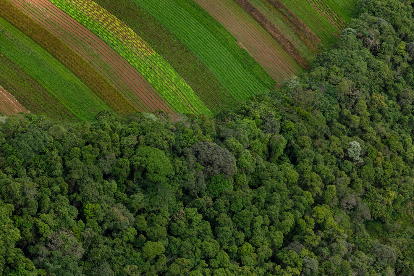 巴西空间利用调查 | 人间建构与自然景观的对话-3