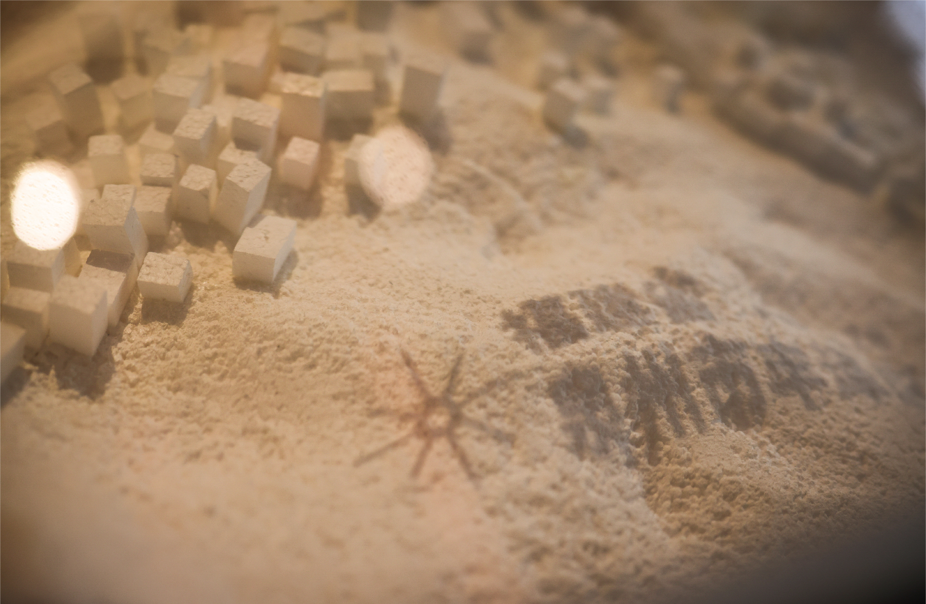 滞光所•南丨中国泉州-26