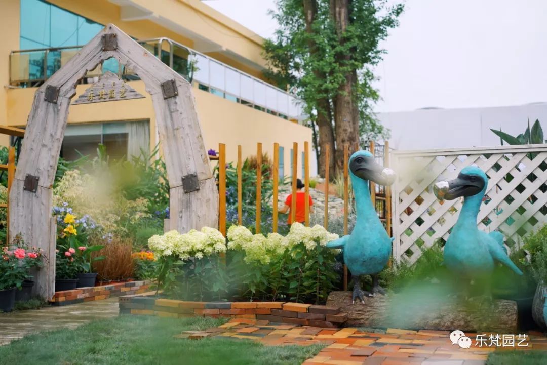 乐梵园艺打造成都花木博览会快闪花园,惊艳全场-26