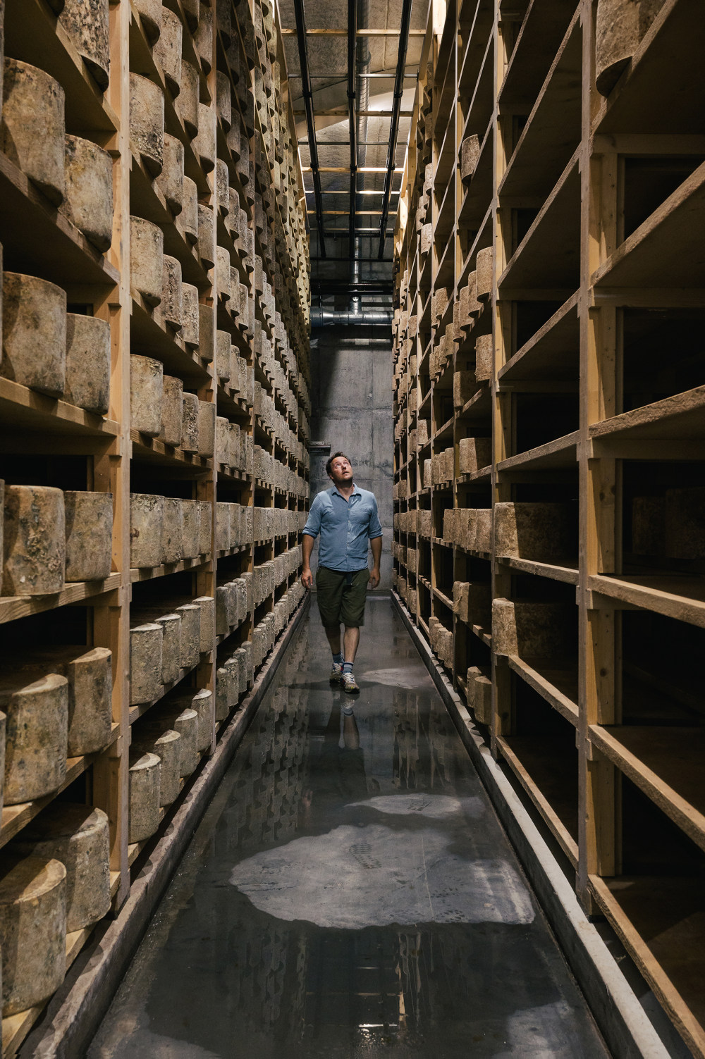 梅林夫妇的田园家居设计-4