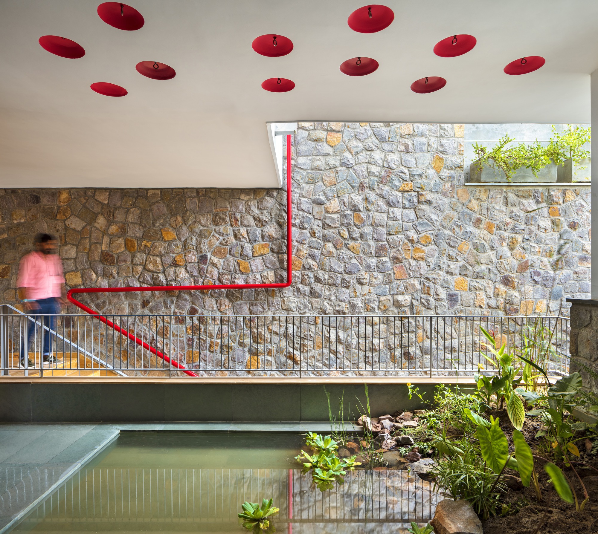 人树屋丨印度丨Archiopteryx-44