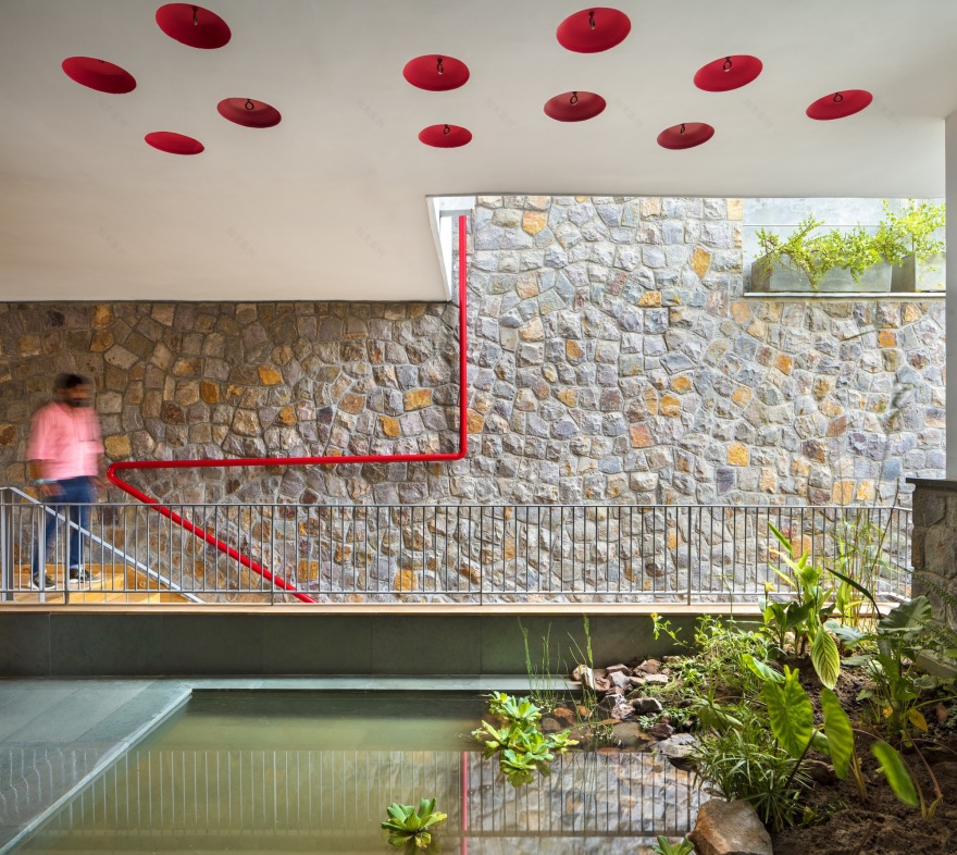 人树屋丨印度丨Archiopteryx-44