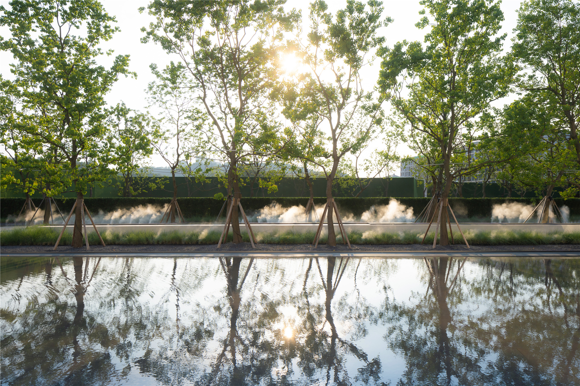 重庆国浩白屿林景观丨中国重庆-12
