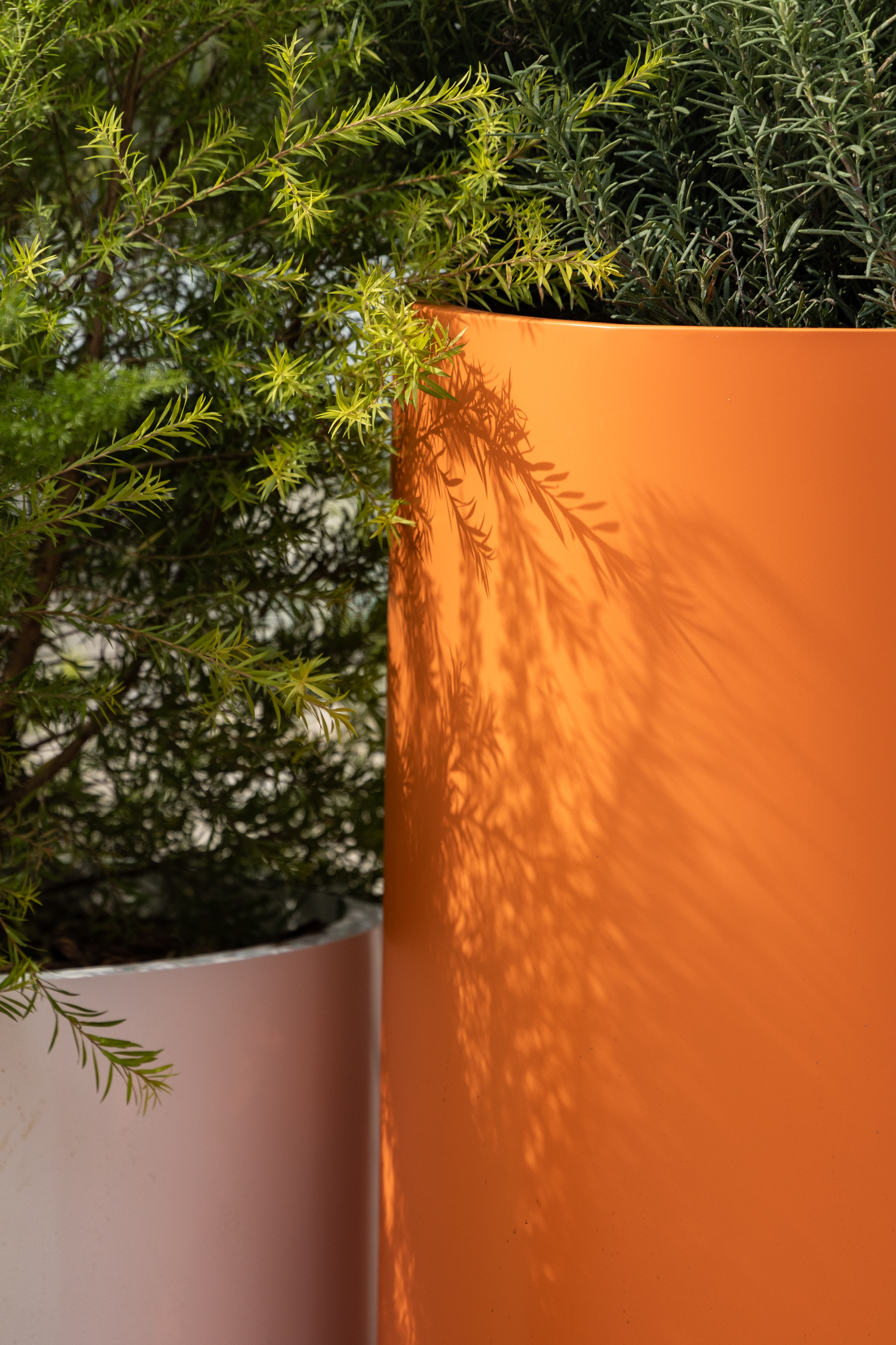 雨花万象天地 场景塑造让商业空间有了 生活温度丨中国南京-14