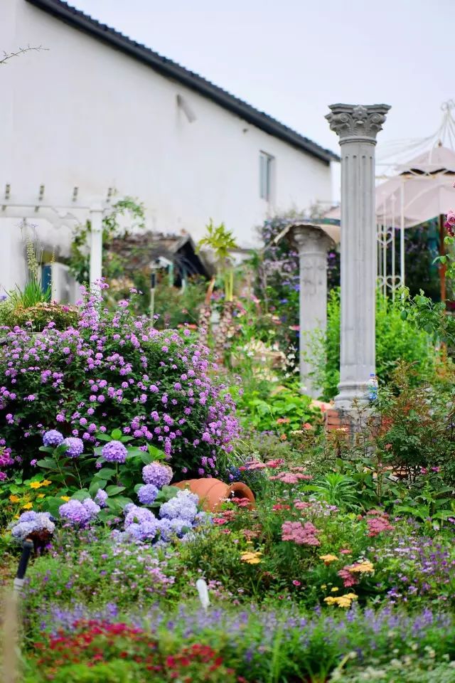 他建了座2亩的鲜花小院，满足你对花园的所有幻想-38