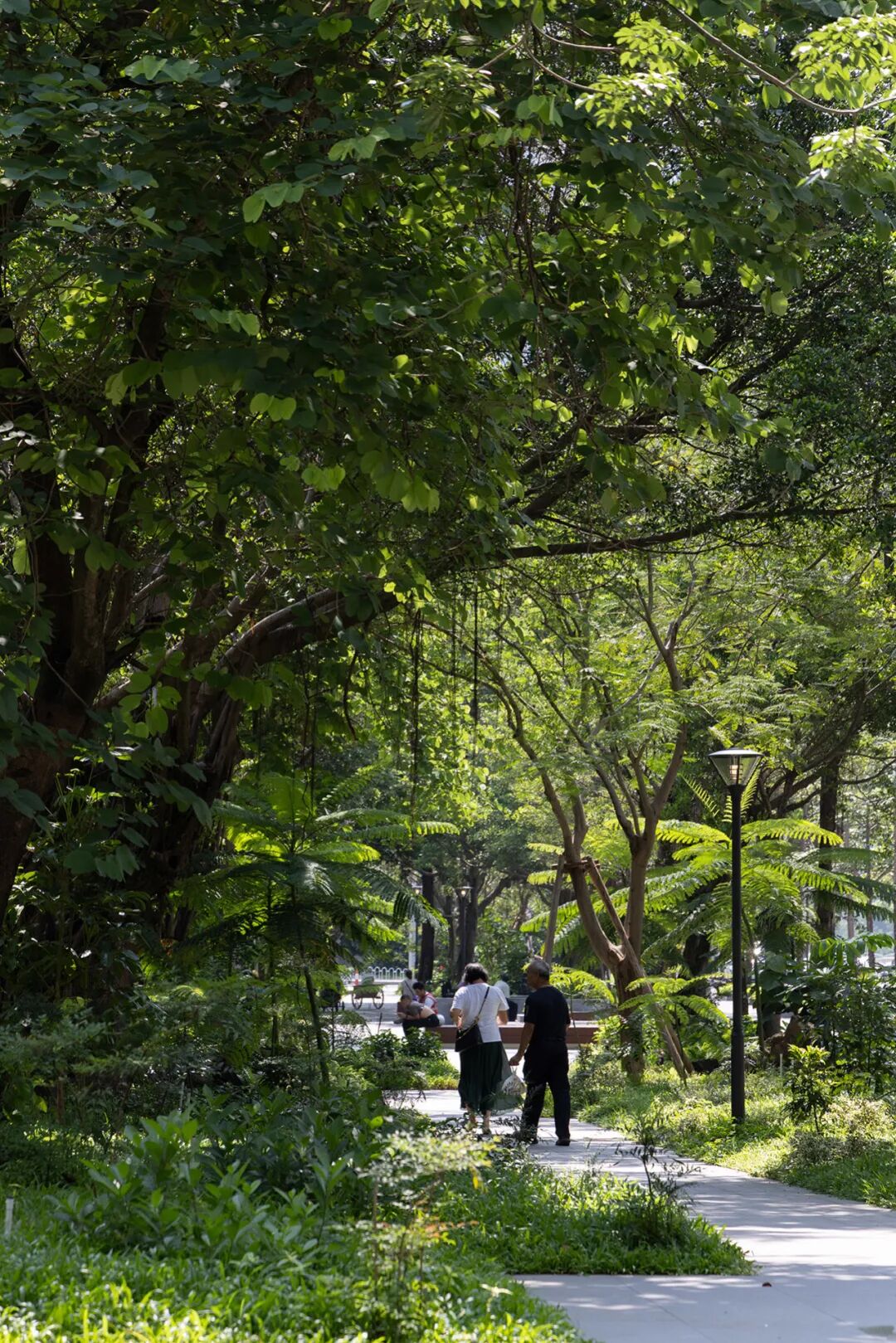 续写亚运荣光，激活滨水新篇|广州亚运公园-39