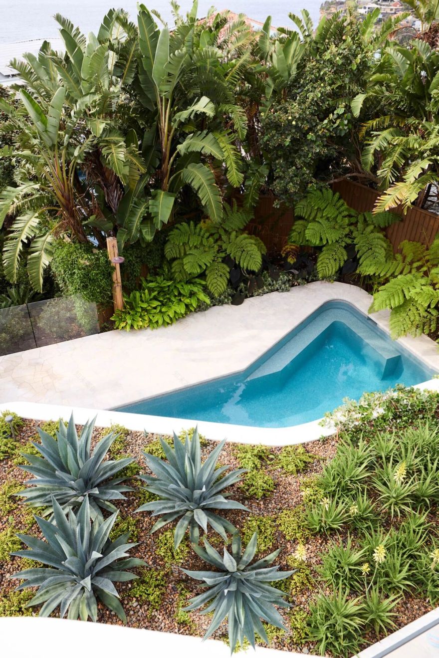 Captains Desk 别墅建筑丨澳大利亚悉尼-27