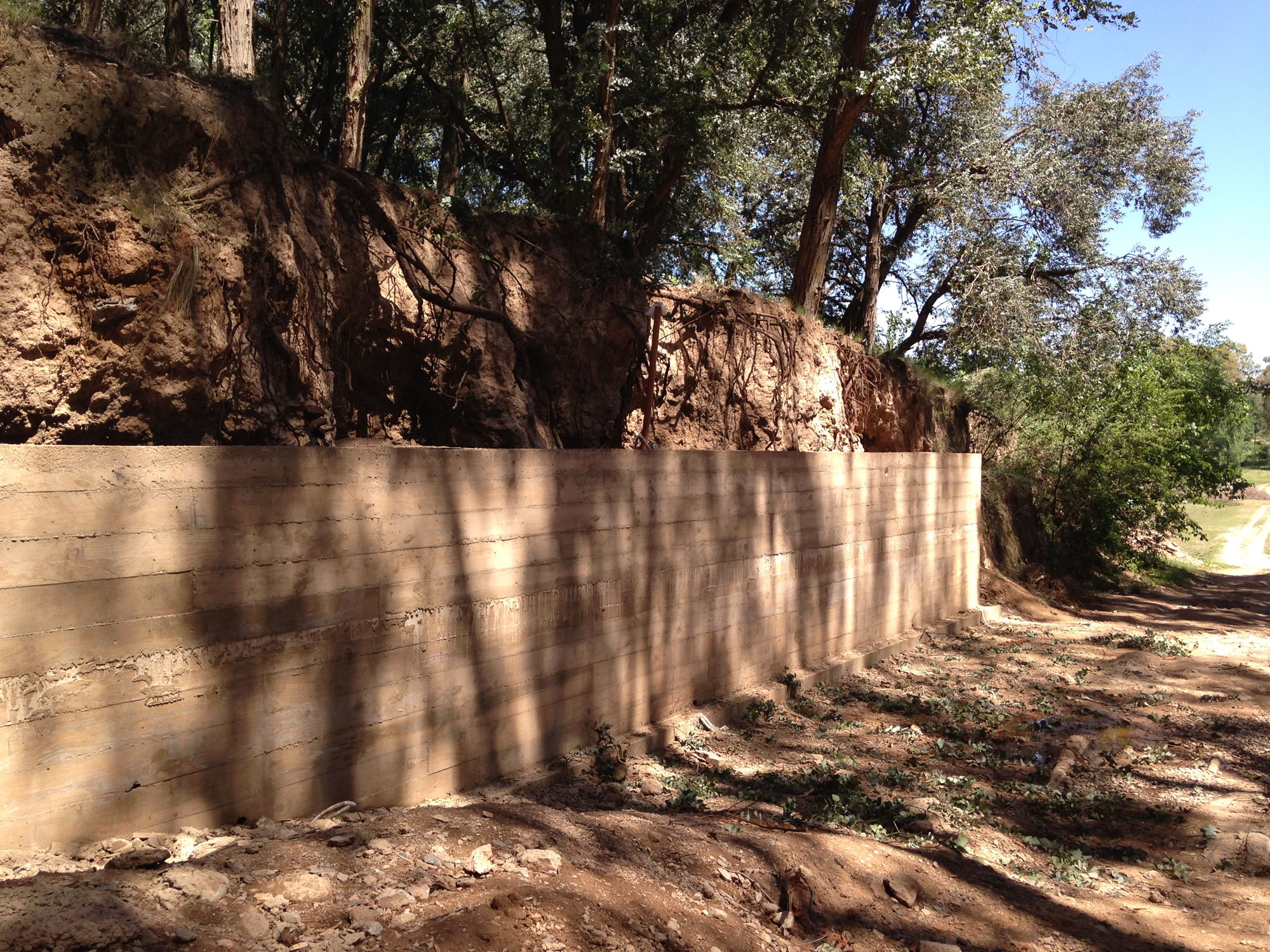 湖边森林中的悬浮桥亭-13