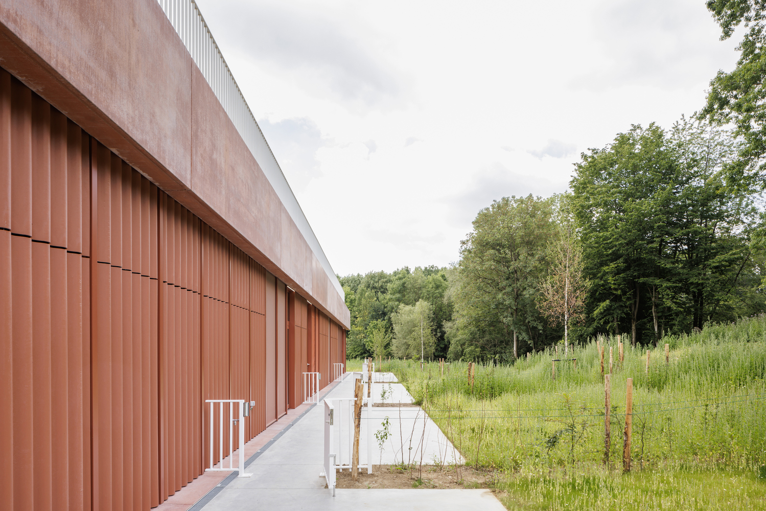 Theodoor 儿童校园丨比利时丨cuypers & Q architecten-46