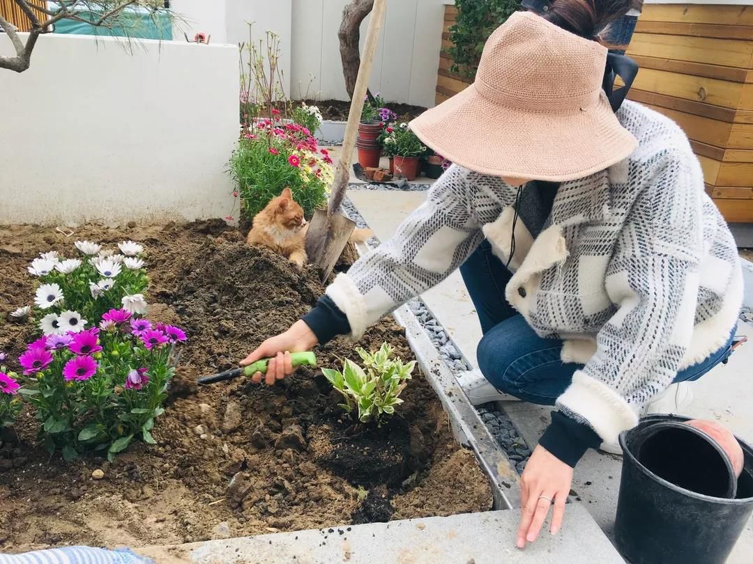 春季花园维护攻略，打造美丽庭院-39