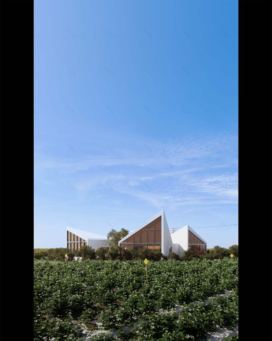 DRAFT SESSION #2 - LIBRARY IN CHRYSANTHEMUM FIELD-34