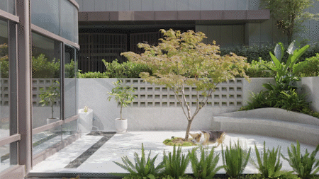 汪星人科科和臭臭的亲密无间家园丨中国重庆丨重庆微观室内设计有限公司-14